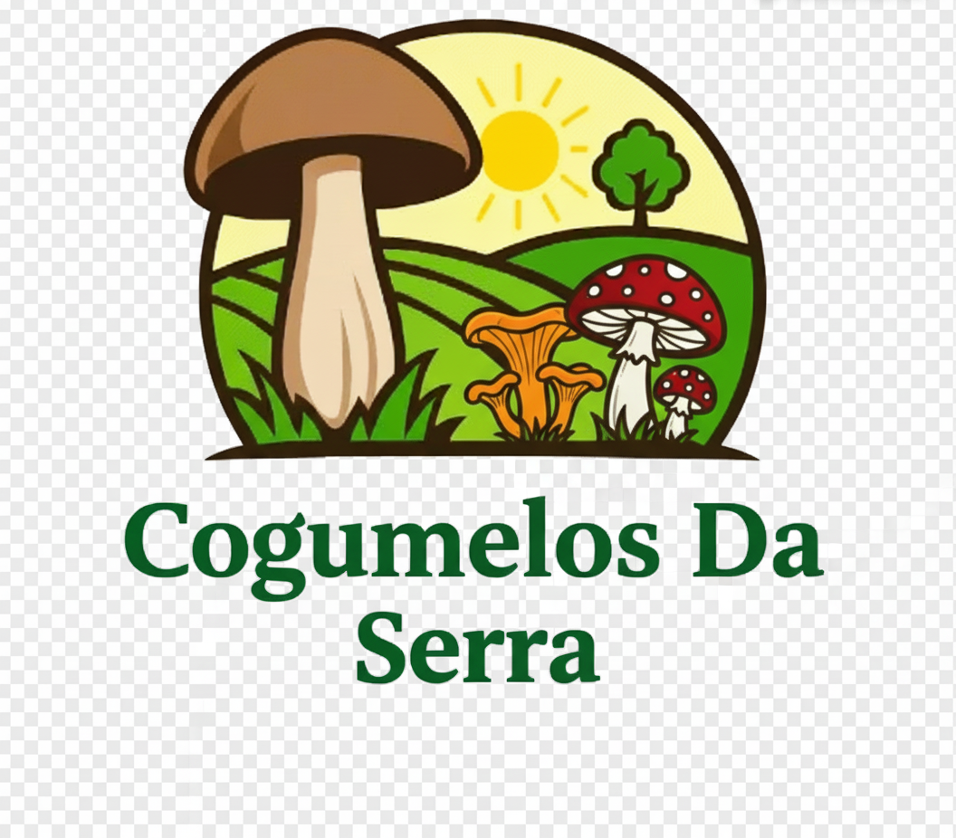 chacaradoscogumelos.com